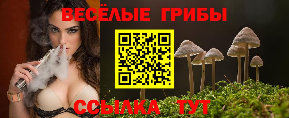 Псилоцибиновые грибы Cubensis Бутурлиновка