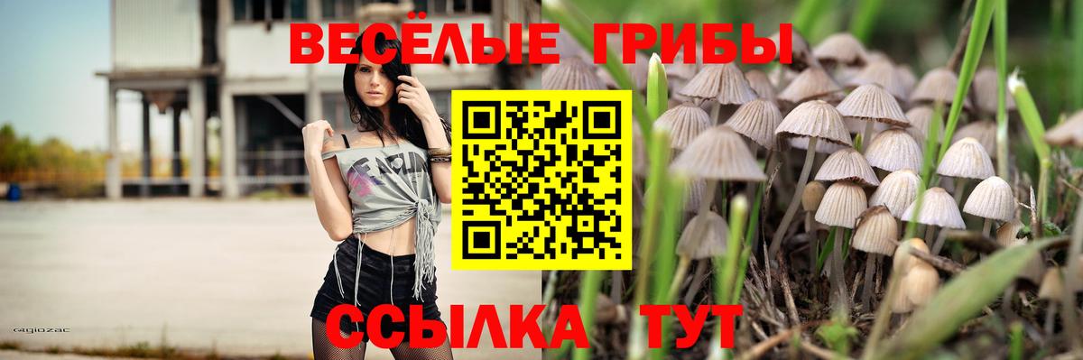 Бутурлиновка  Псилоцибиновые грибы Psilocybine cubensis  купить закладку  Вход с VPN 